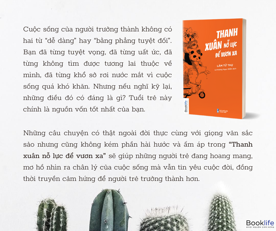 thanh xuân nỗ lực để vươn xa - Ảnh 4