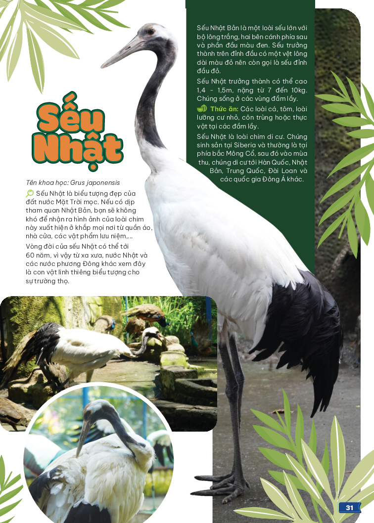 thảo cầm viên sài gòn - kho báu trong lòng thành phố - Ảnh 10