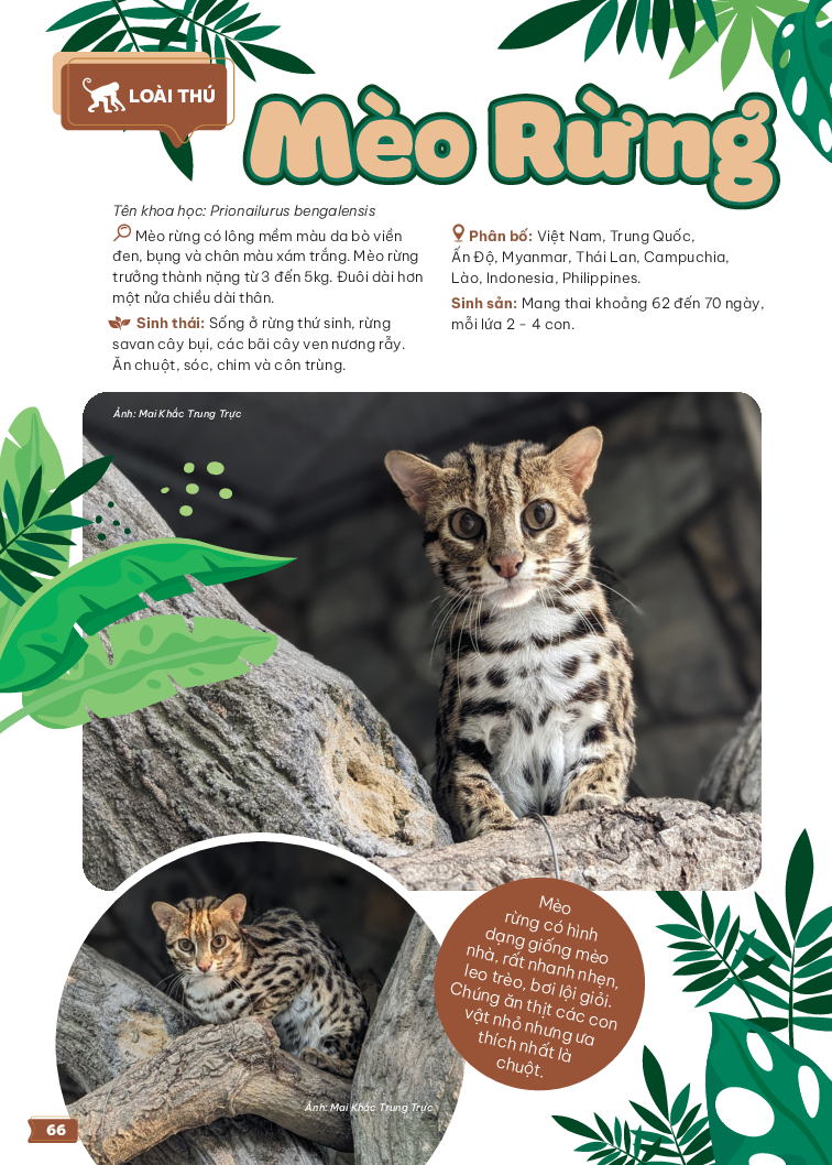 thảo cầm viên sài gòn - kho báu trong lòng thành phố - Ảnh 11