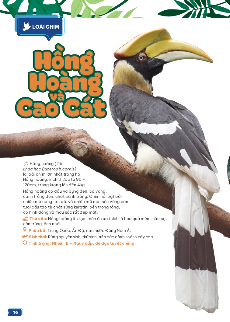 thảo cầm viên sài gòn - kho báu trong lòng thành phố - Ảnh 7