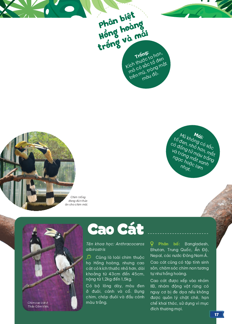 thảo cầm viên sài gòn - kho báu trong lòng thành phố - Ảnh 8