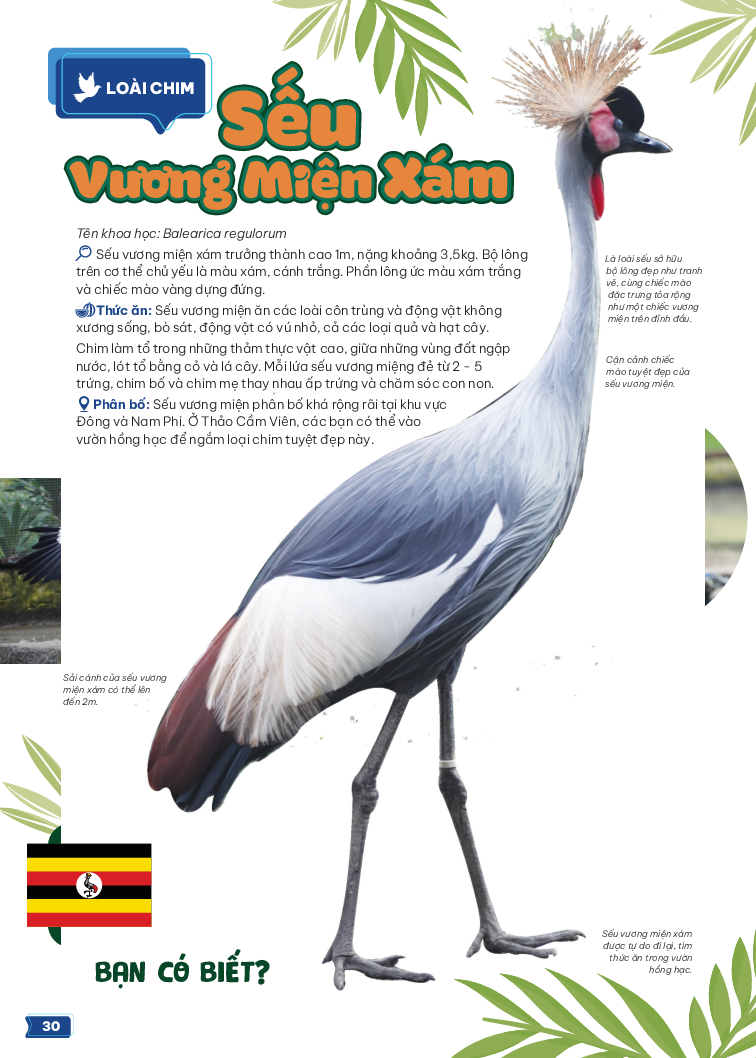 thảo cầm viên sài gòn - kho báu trong lòng thành phố - Ảnh 9