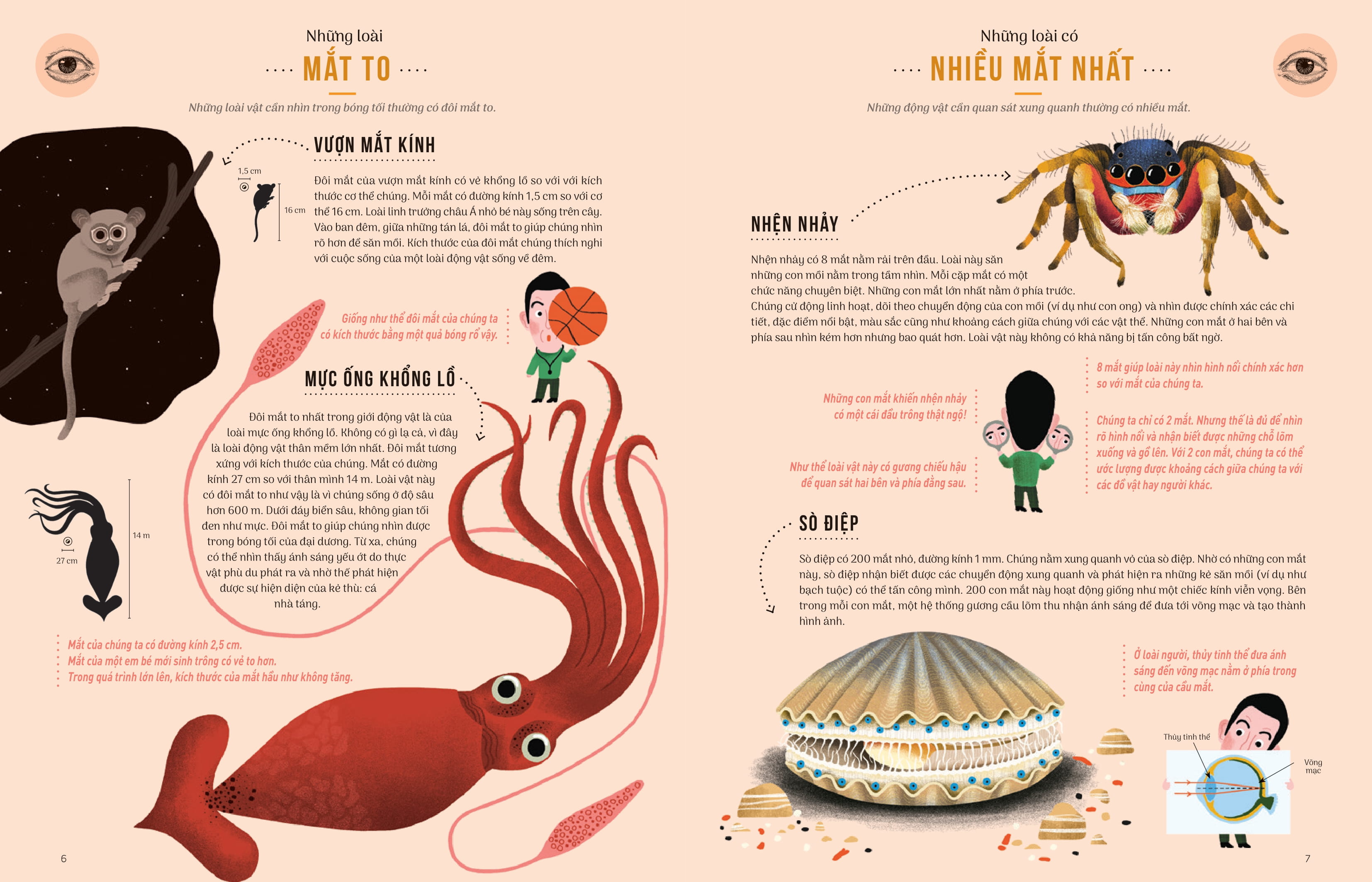 thật khó tin - so sánh năm giác quan giữa con người và động vật - Ảnh 4