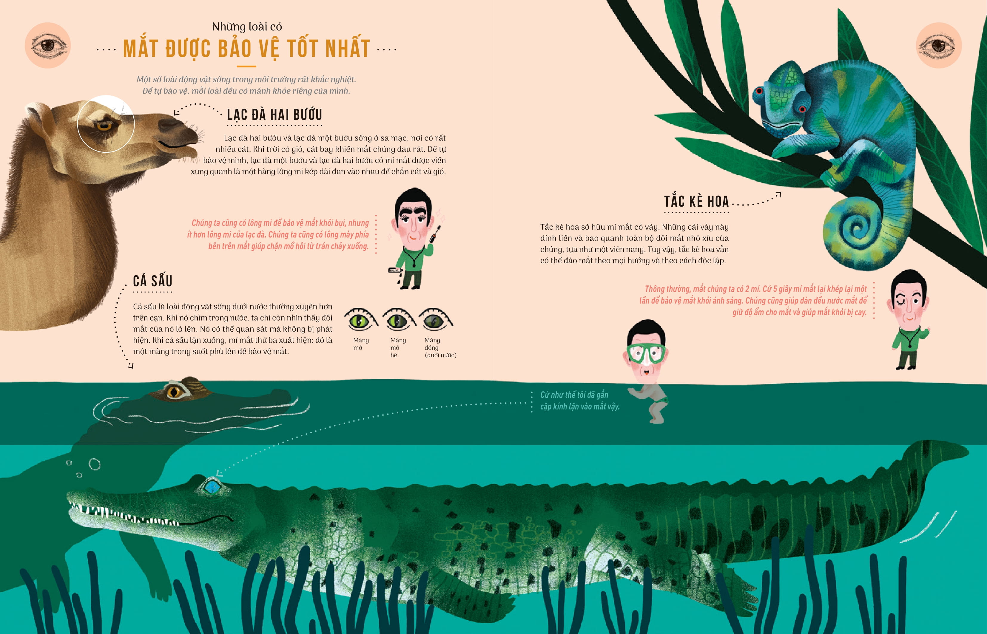 thật khó tin - so sánh năm giác quan giữa con người và động vật - Ảnh 5