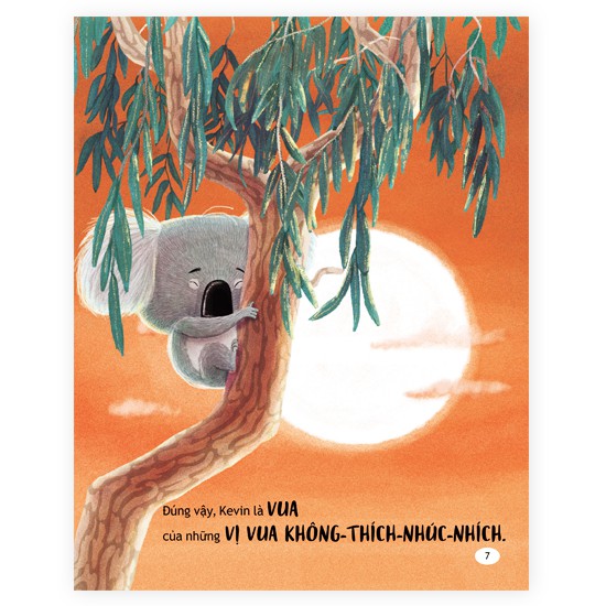 thay đổi để lớn khôn - gấu túi rời tổ ấm - Ảnh 3