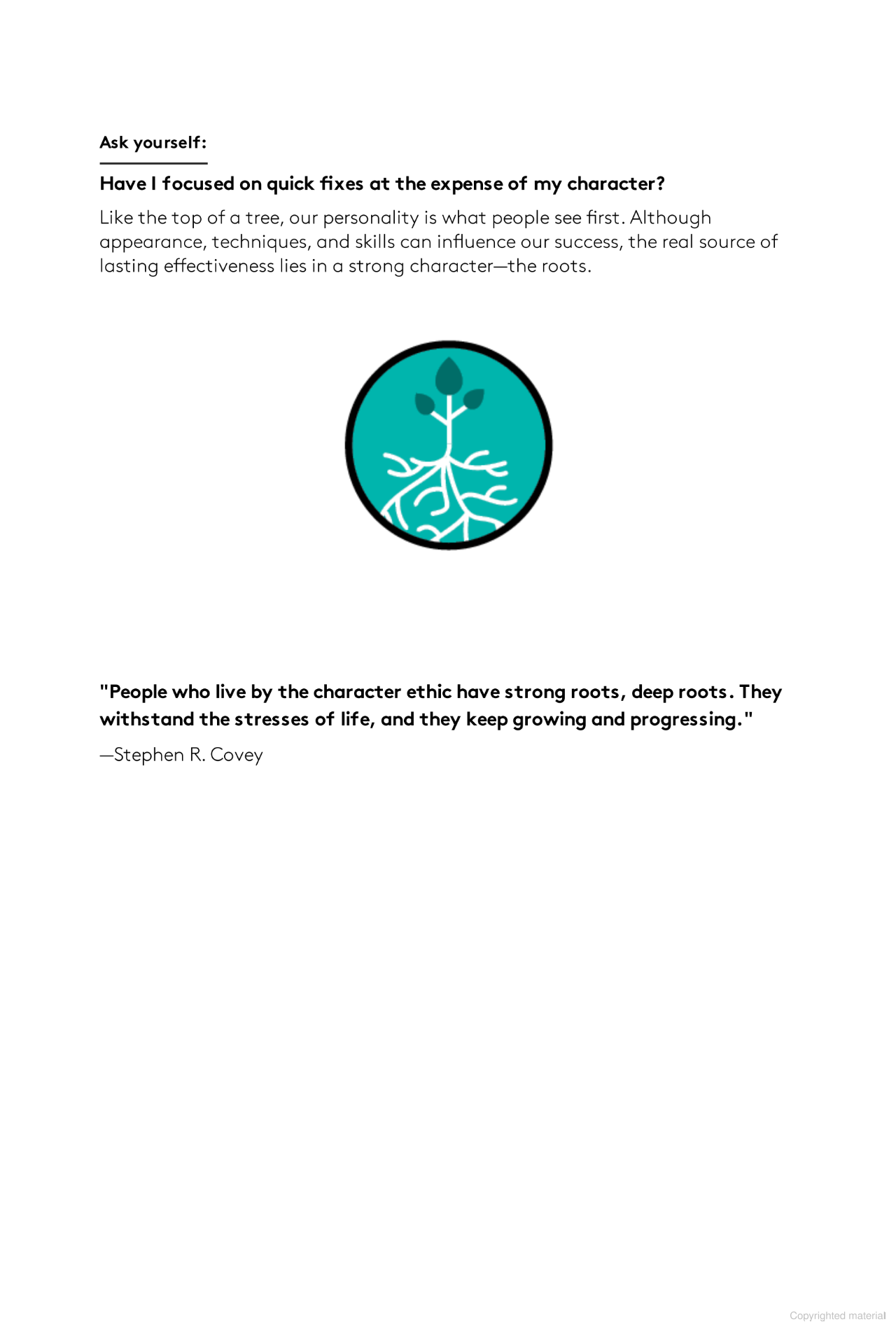 the 7 habits on the go: timeless wisdom for a rapidly changing world - Ảnh 5