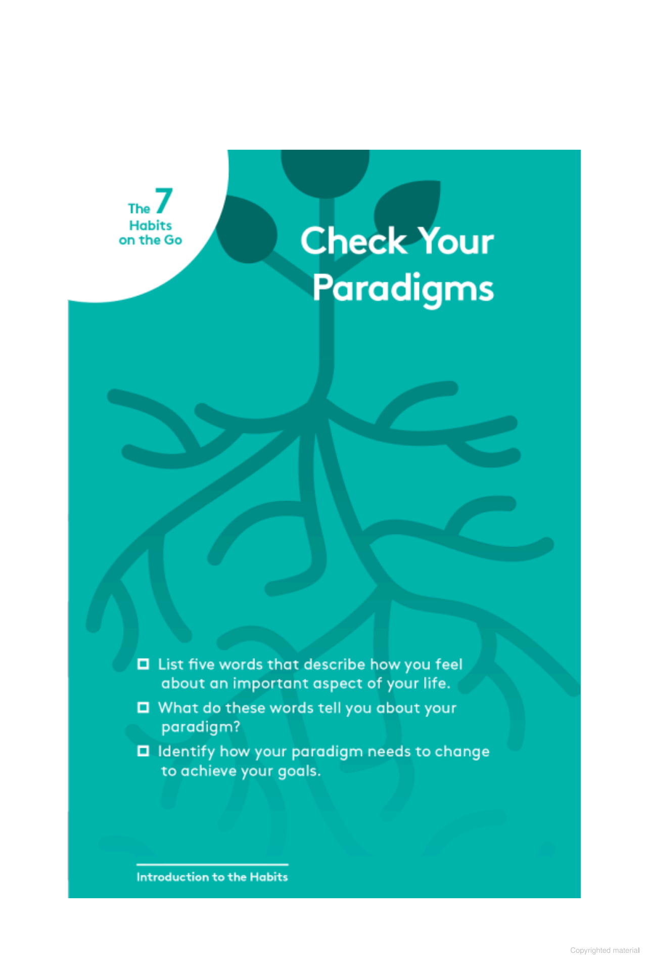 the 7 habits on the go: timeless wisdom for a rapidly changing world - Ảnh 8