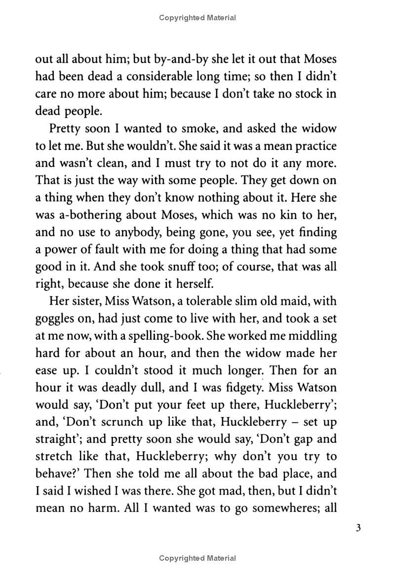 the adventures of huckleberry finn - Ảnh 12