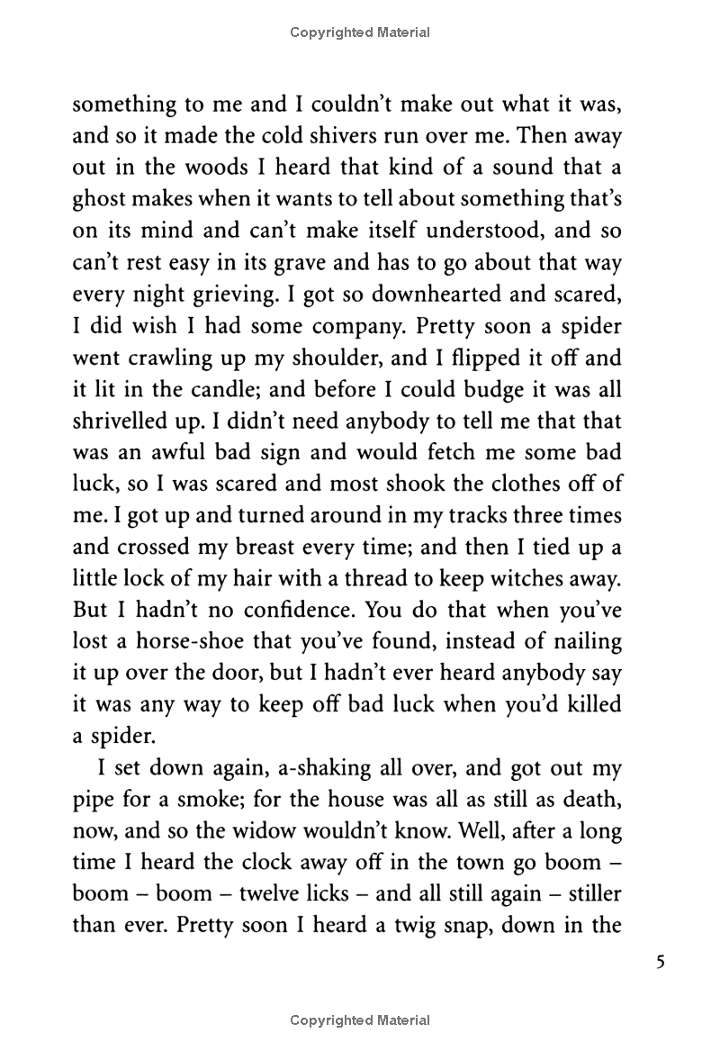 the adventures of huckleberry finn - Ảnh 14