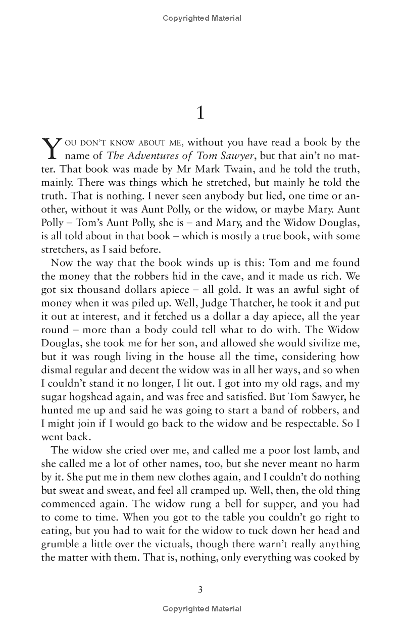 the adventures of huckleberry finn - Ảnh 4