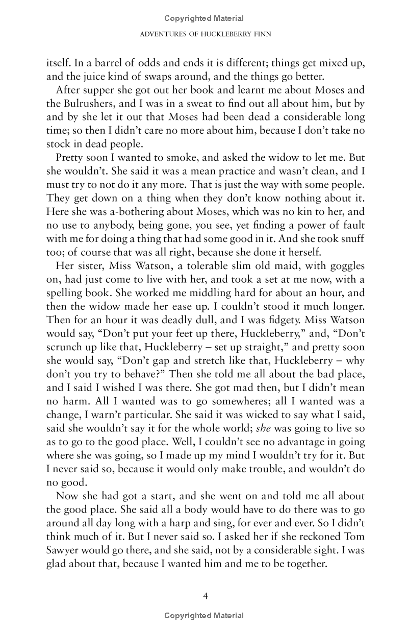 the adventures of huckleberry finn - Ảnh 5