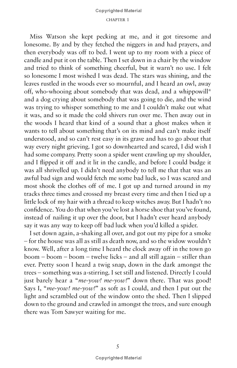 the adventures of huckleberry finn - Ảnh 6