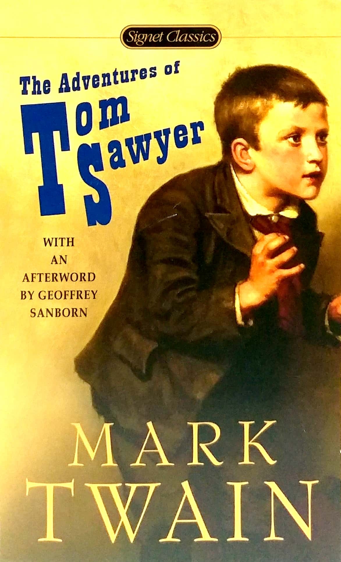 the adventures of tom sawyer - Ảnh 2