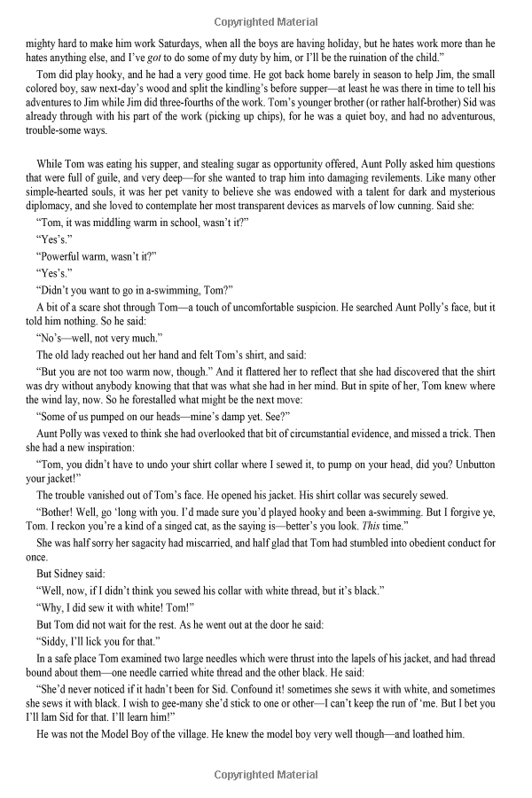 the adventures of tom sawyer - Ảnh 6