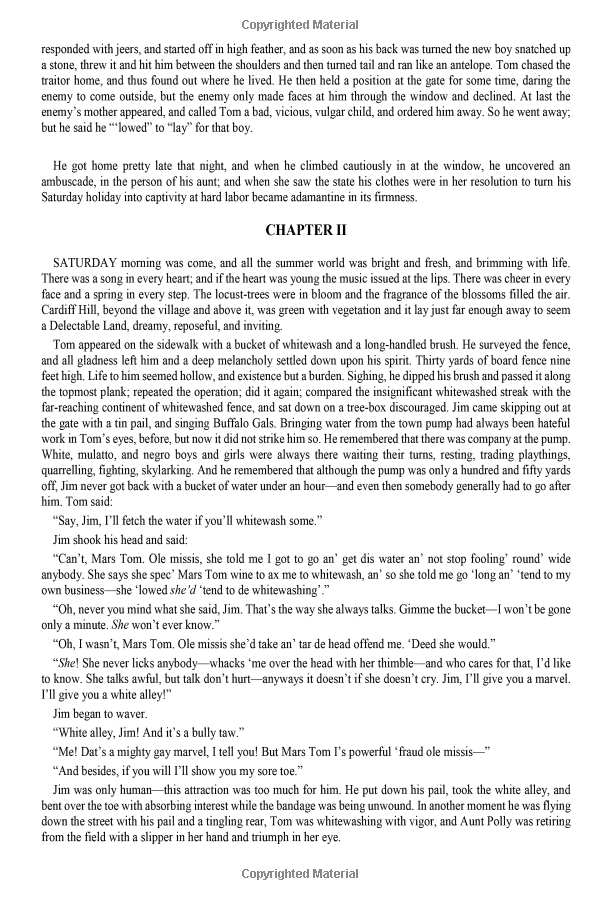 the adventures of tom sawyer - Ảnh 9