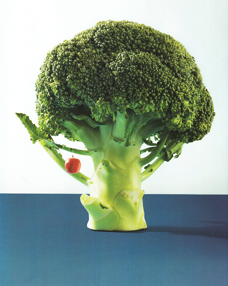 the alphabet i found in mom's kitchen (tiếng anh) - Ảnh 6