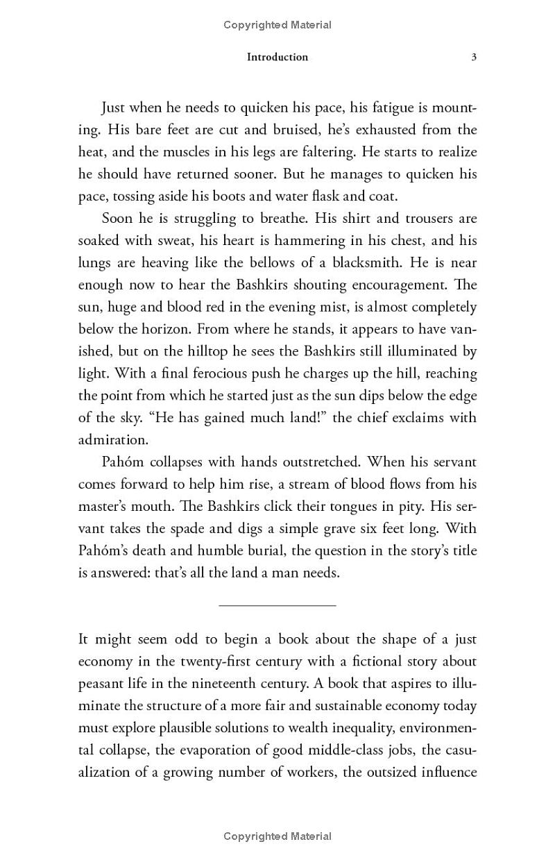 the alternative - how to build a just economy - Ảnh 6