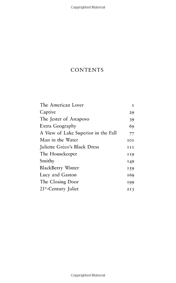 the american lover - Ảnh 2