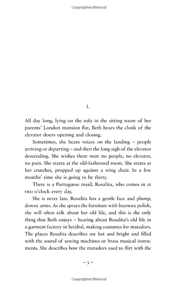 the american lover - Ảnh 3