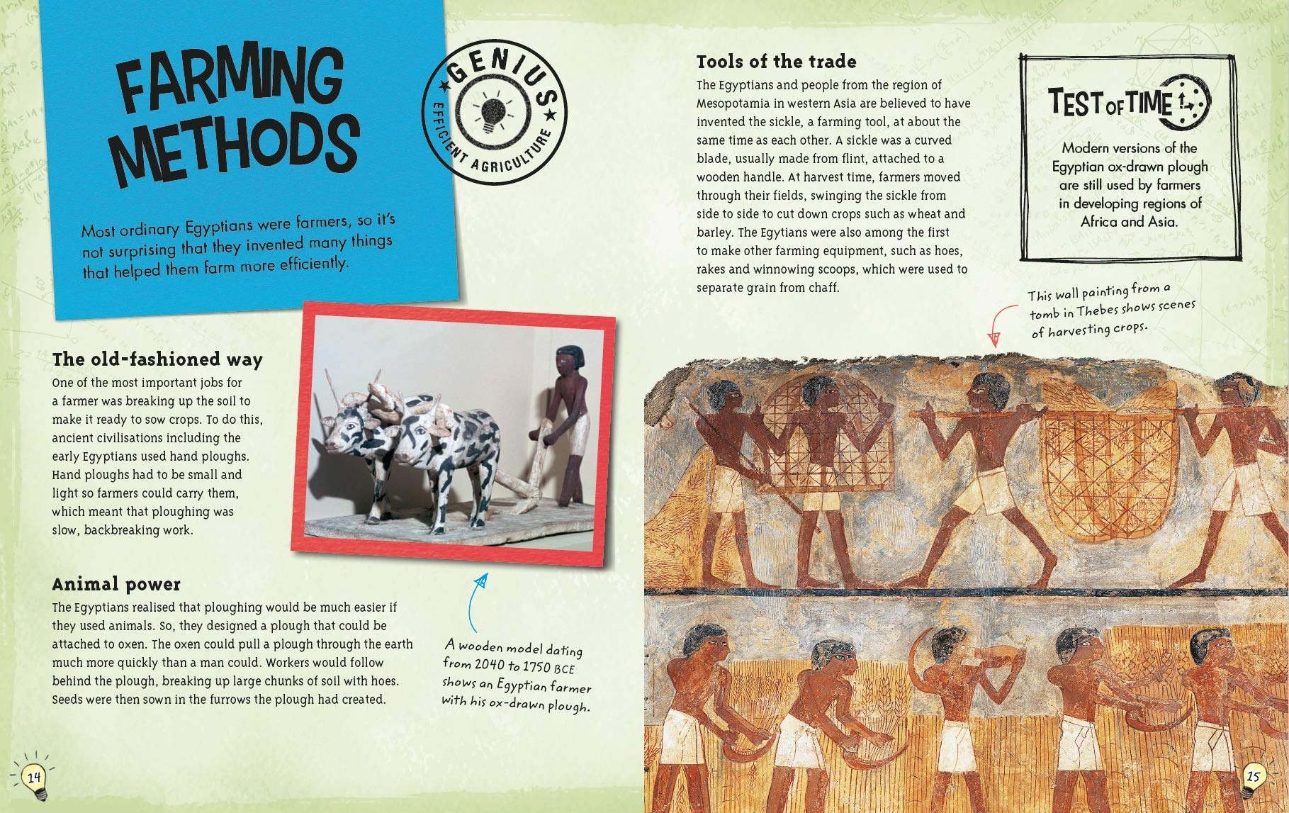 the ancient egyptians: clever ideas and inventions from past civilisations (the genius of) - Ảnh 2