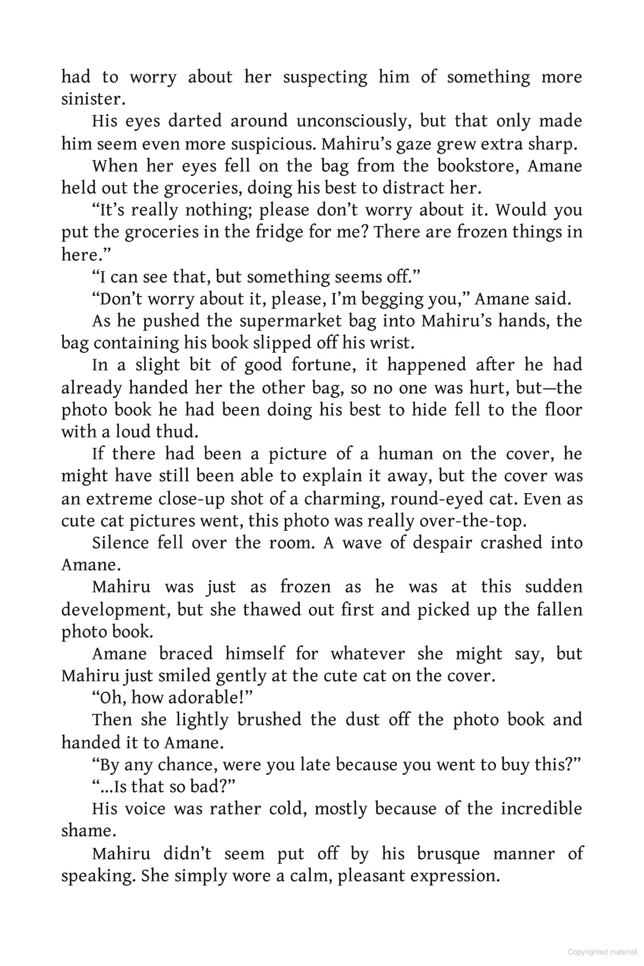 the angel next door spoils me rotten 5.5 (light novel - english edition) - Ảnh 5