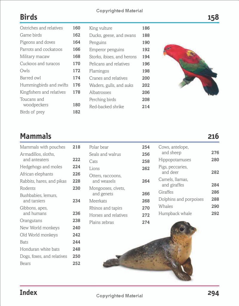 the animal book - Ảnh 10