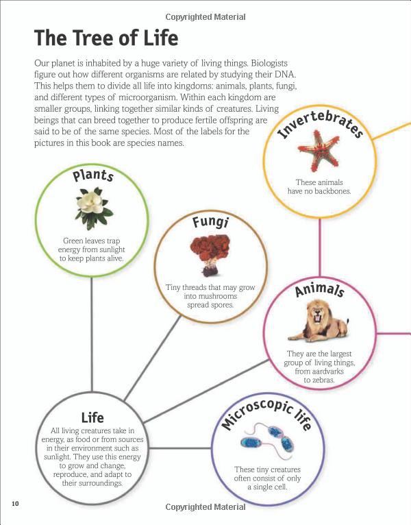 the animal book - Ảnh 11