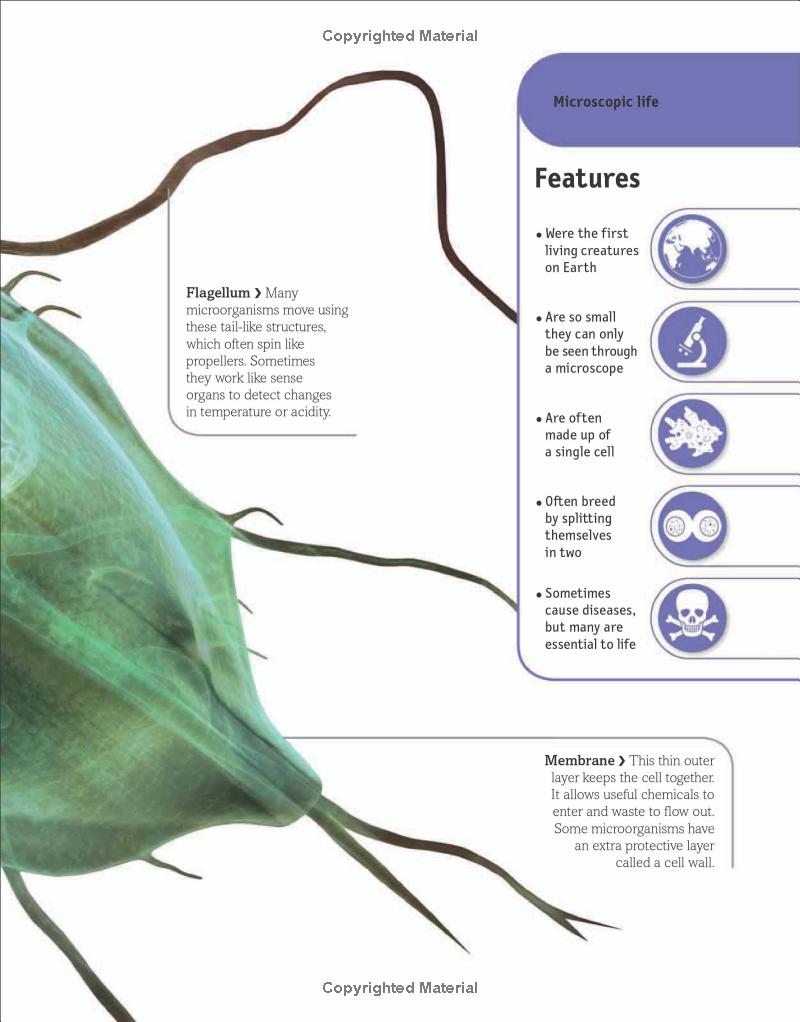 the animal book - Ảnh 14