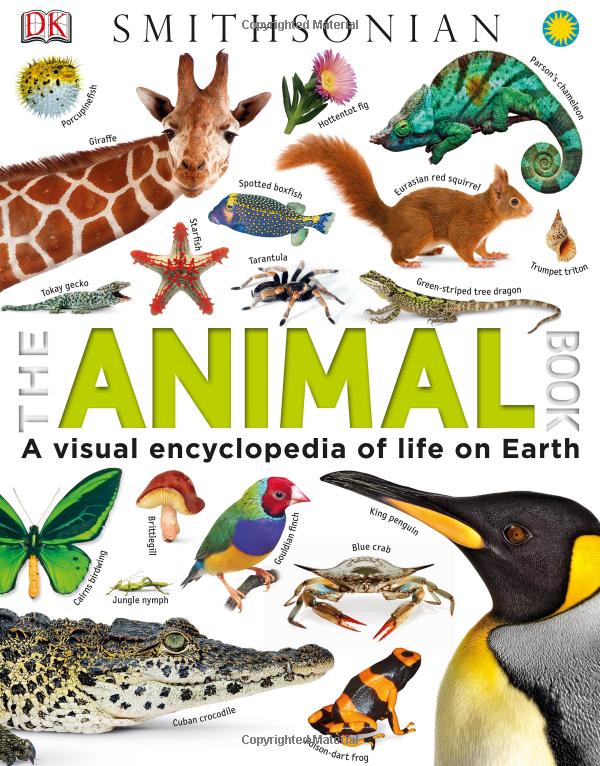 the animal book - Ảnh 3