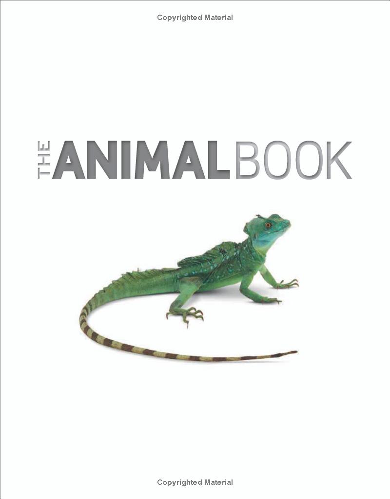 the animal book - Ảnh 4