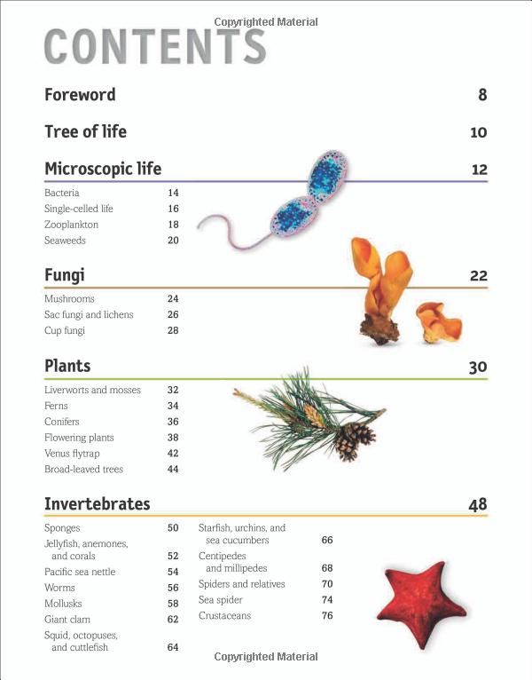 the animal book - Ảnh 8
