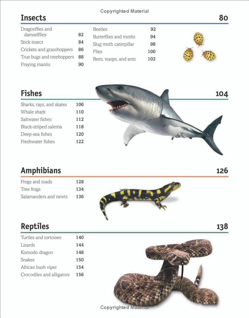 the animal book - Ảnh 9