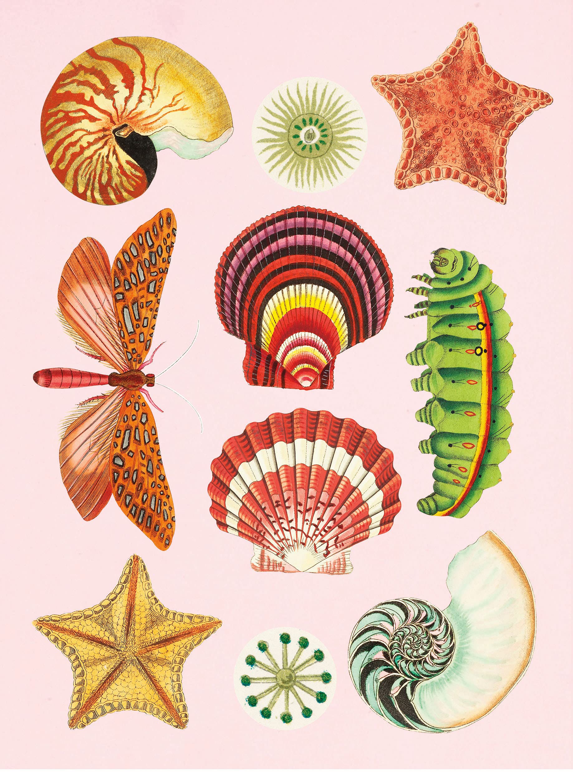 the antiquarian sticker book: over 1,000 exquisite victorian stickers - Ảnh 10