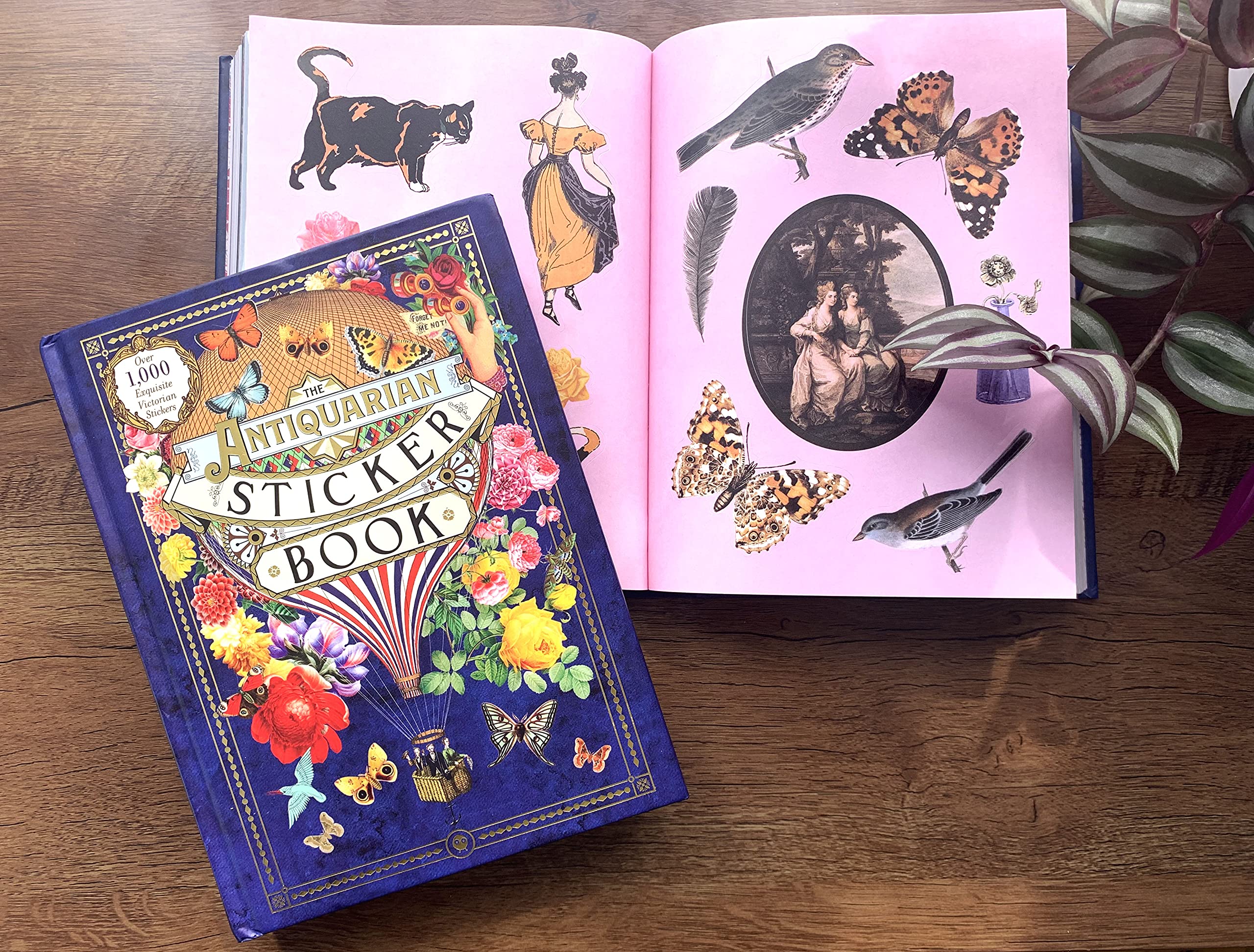 the antiquarian sticker book: over 1,000 exquisite victorian stickers - Ảnh 12