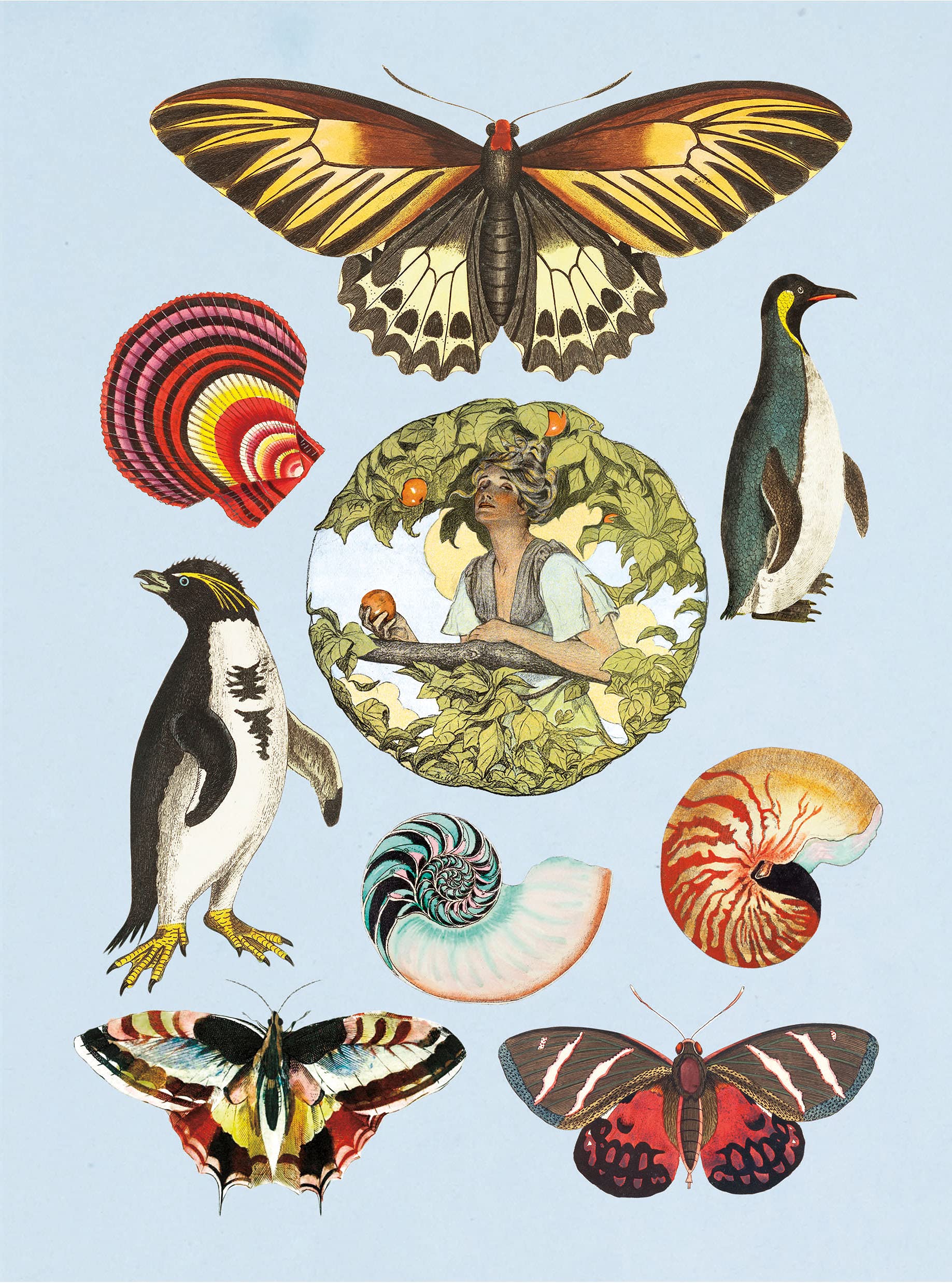 the antiquarian sticker book: over 1,000 exquisite victorian stickers - Ảnh 9