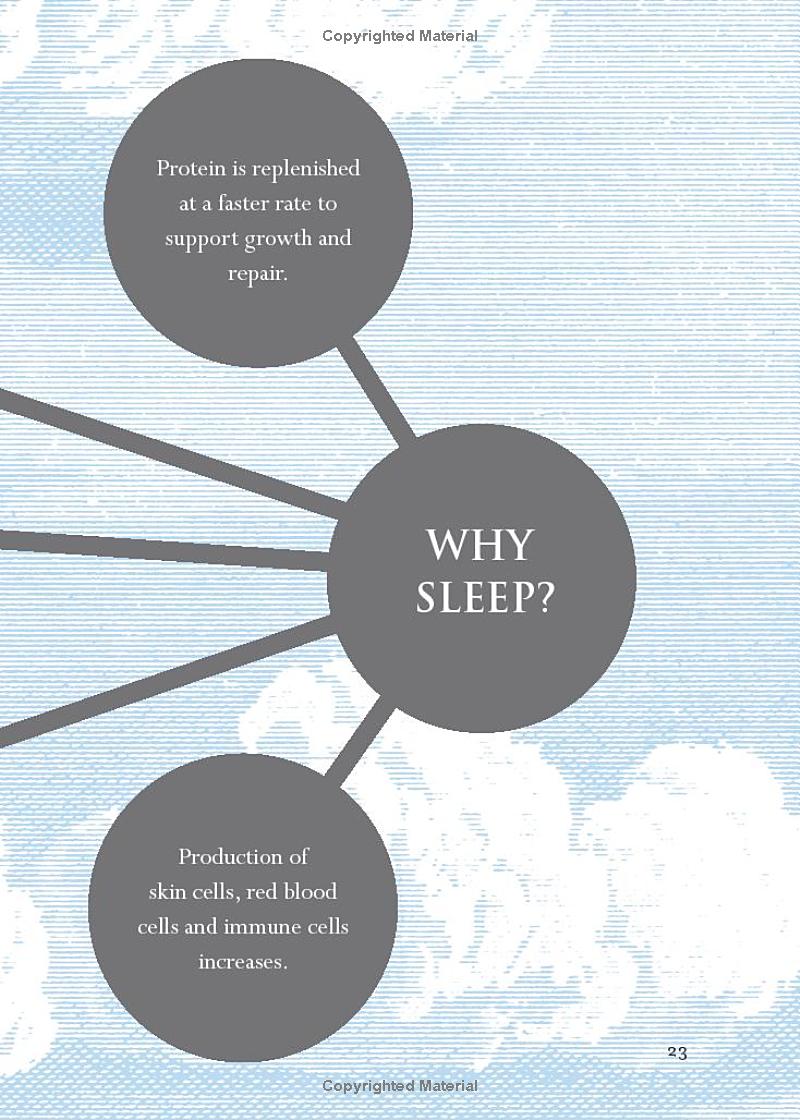 the art of sleeping - Ảnh 11