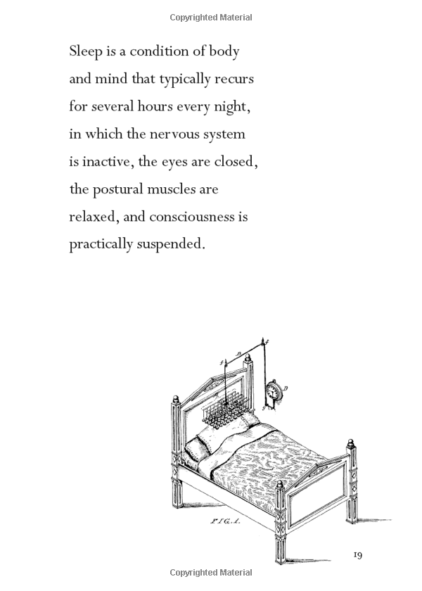 the art of sleeping - Ảnh 7