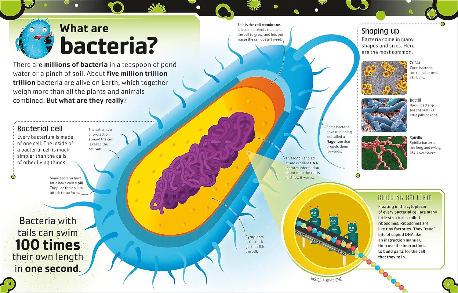 the bacteria book (new edition) - Ảnh 3