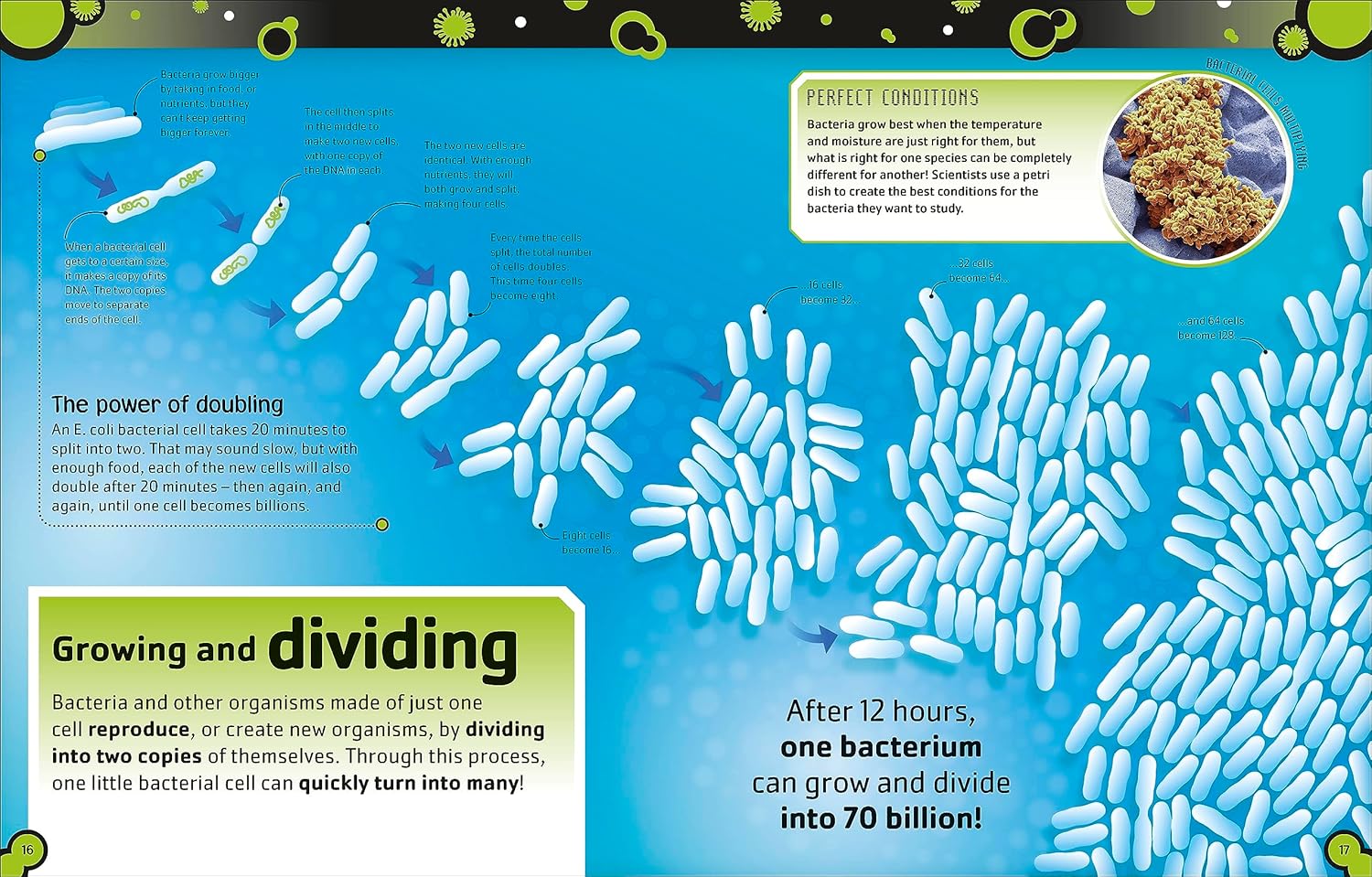 the bacteria book (new edition) - Ảnh 4