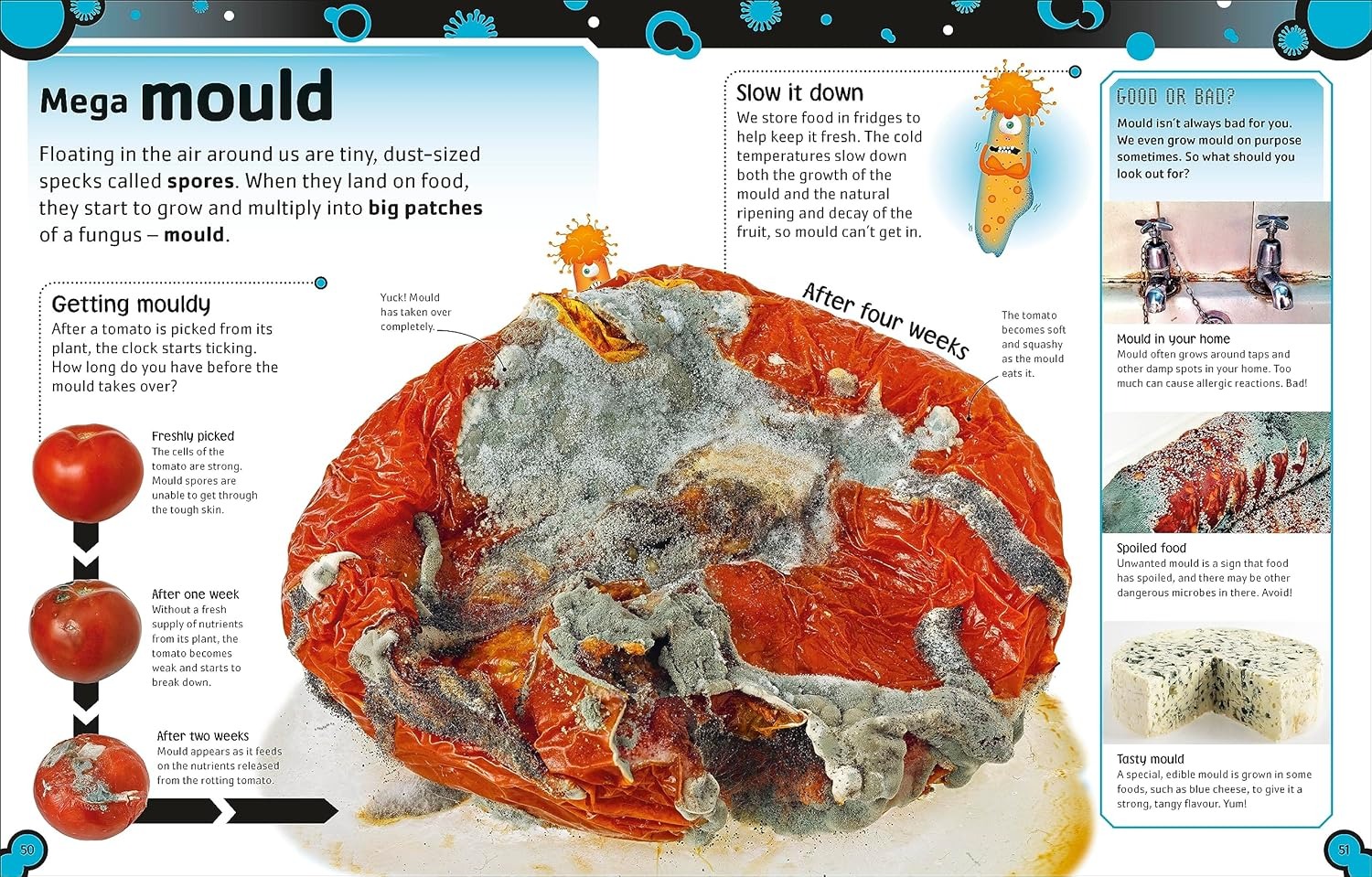 the bacteria book (new edition) - Ảnh 7