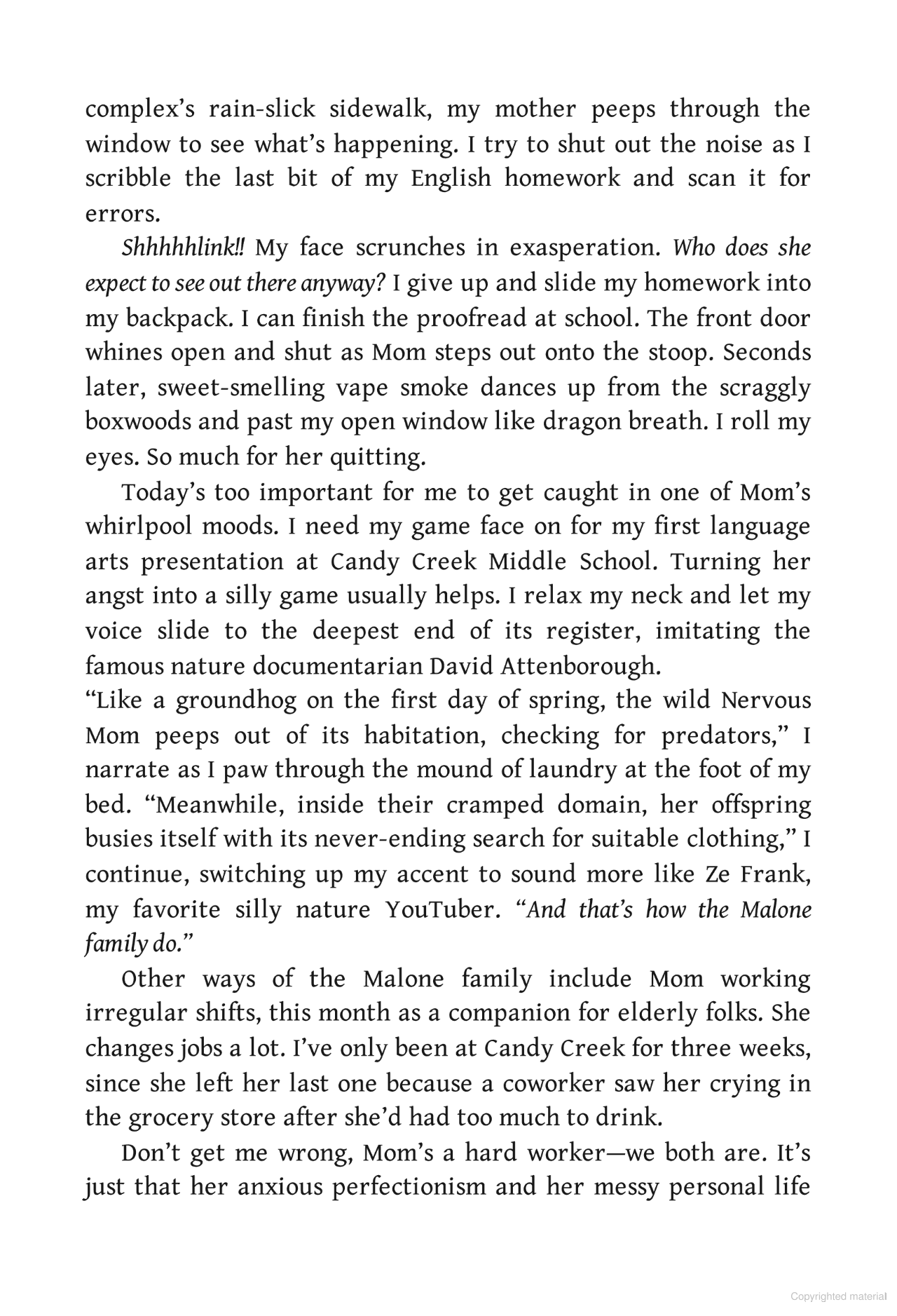 the beautiful something else - Ảnh 8