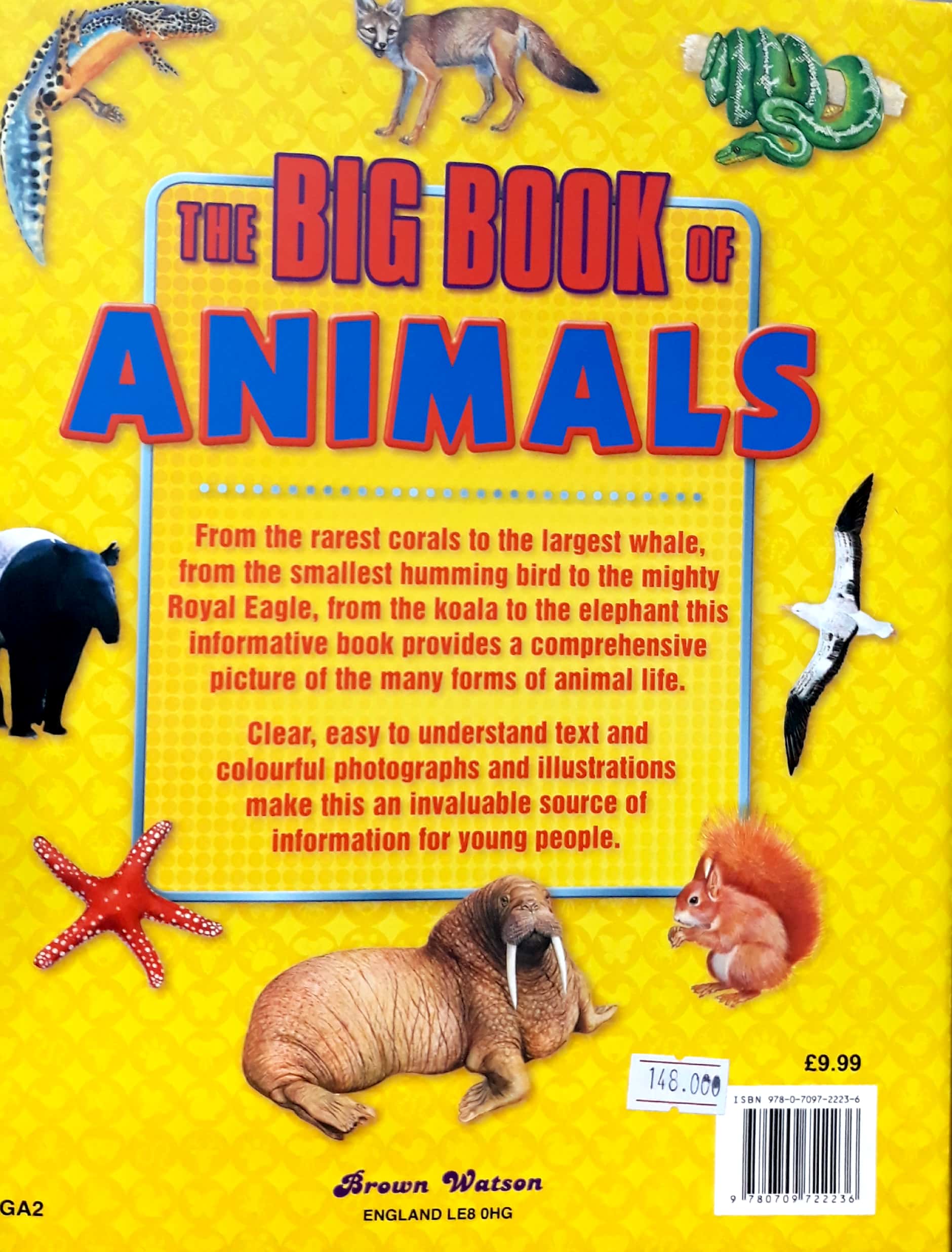 the big book of animals - Ảnh 5