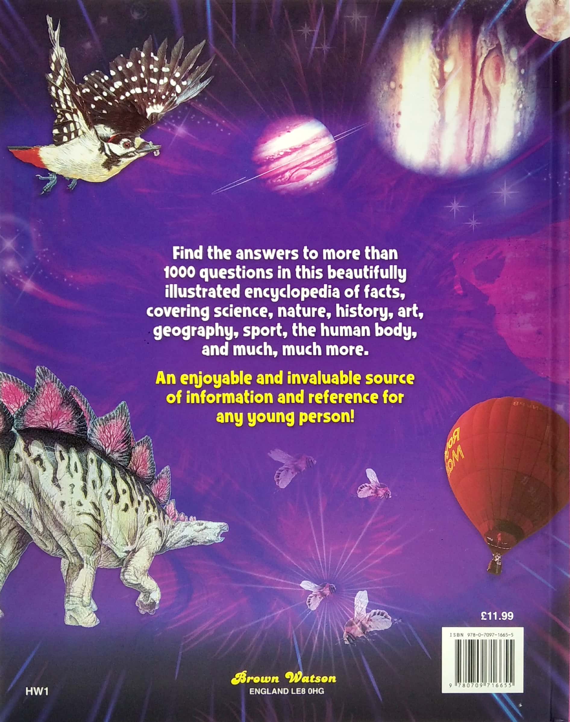 the big book of how, when and why? - Ảnh 6