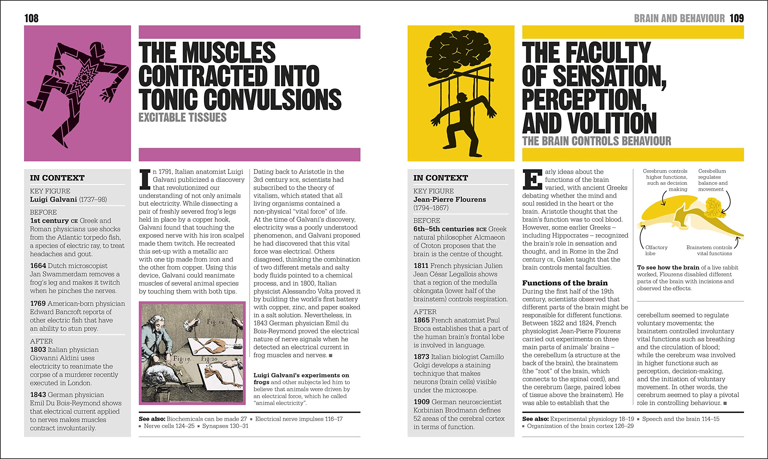 the biology book: big ideas simply explained - Ảnh 9