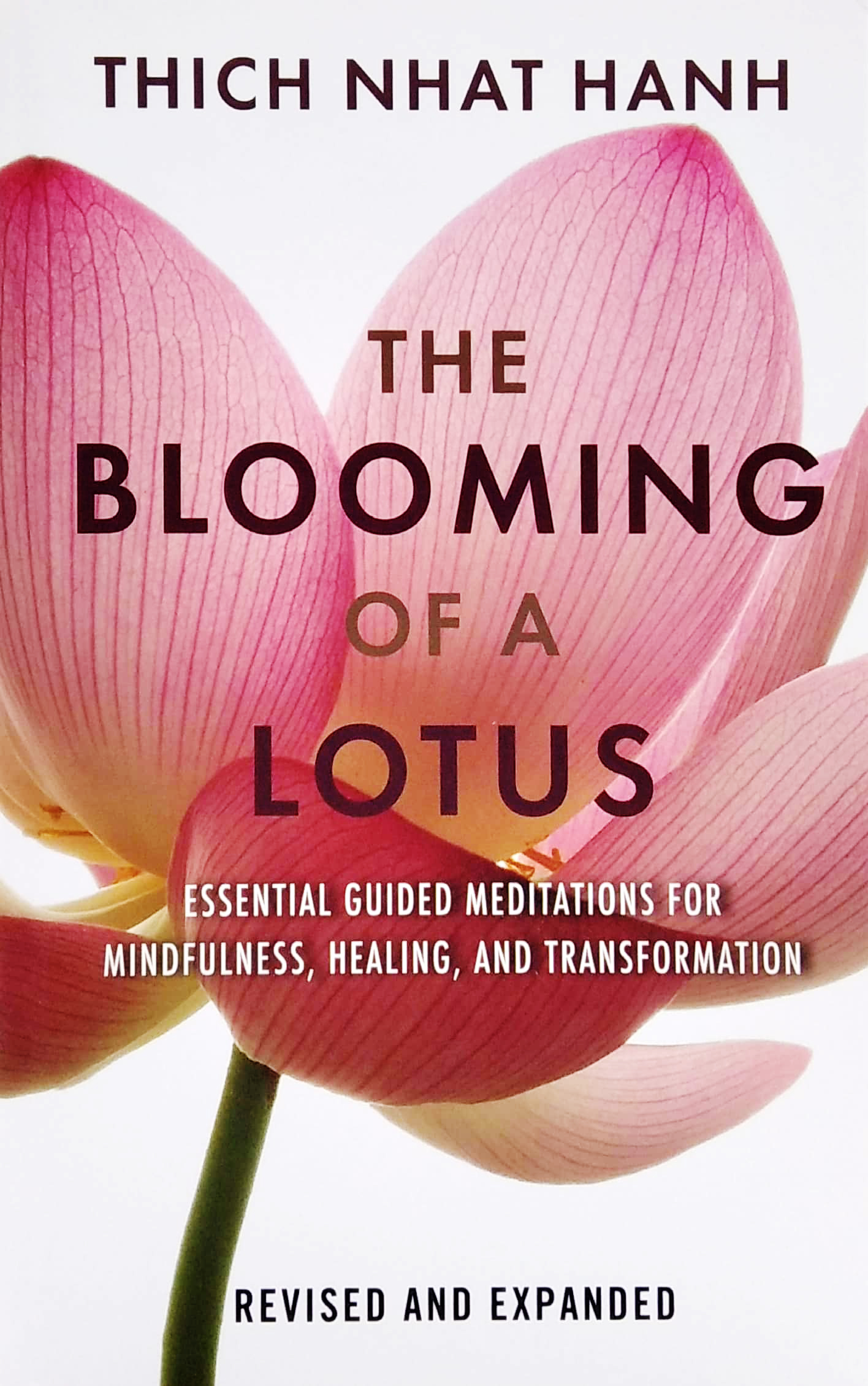 the blooming of a lotus: essential guided meditations for mindfulness, healing, and transformation - Ảnh 2