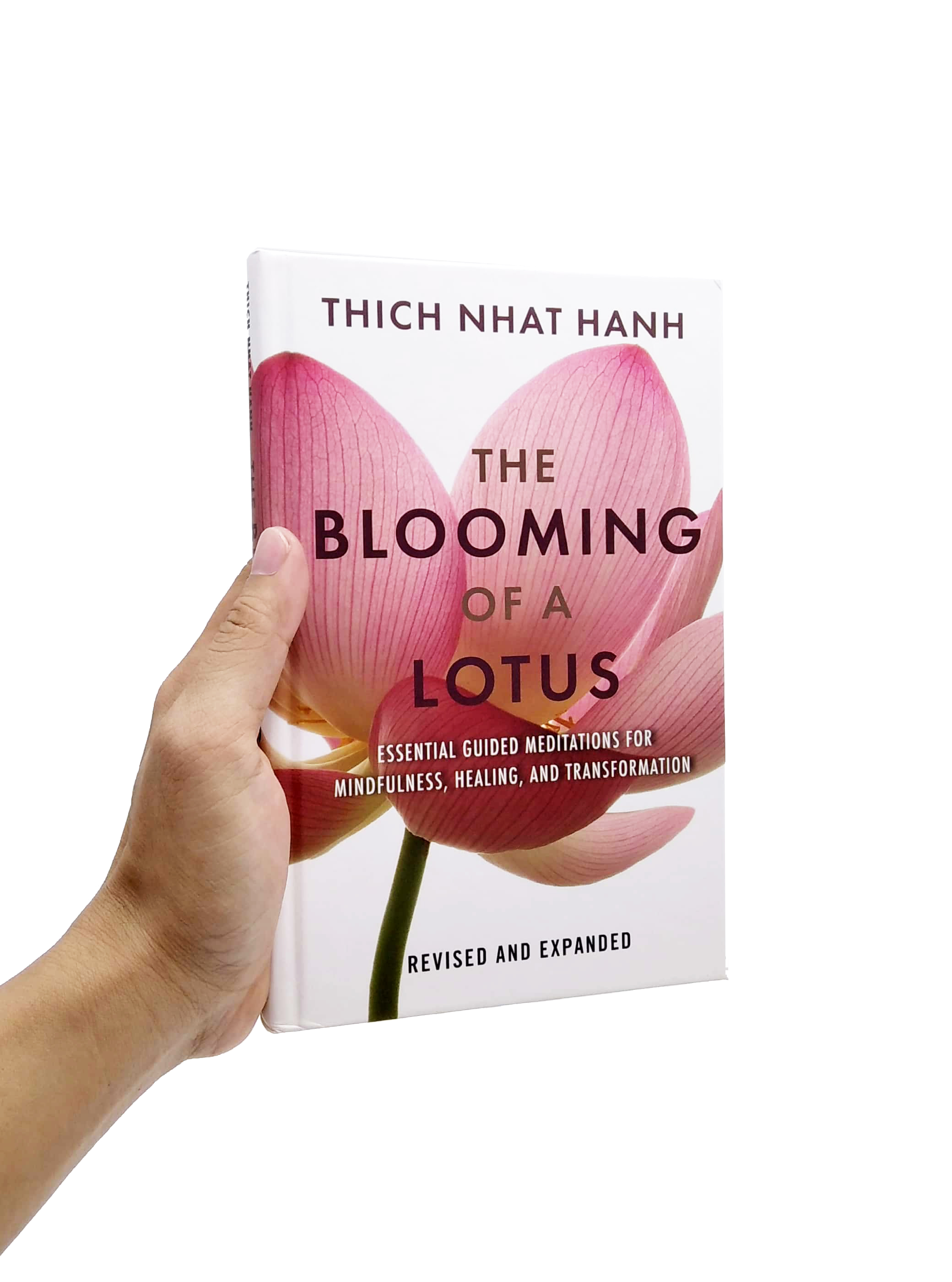 the blooming of a lotus: essential guided meditations for mindfulness, healing, and transformation - Ảnh 7