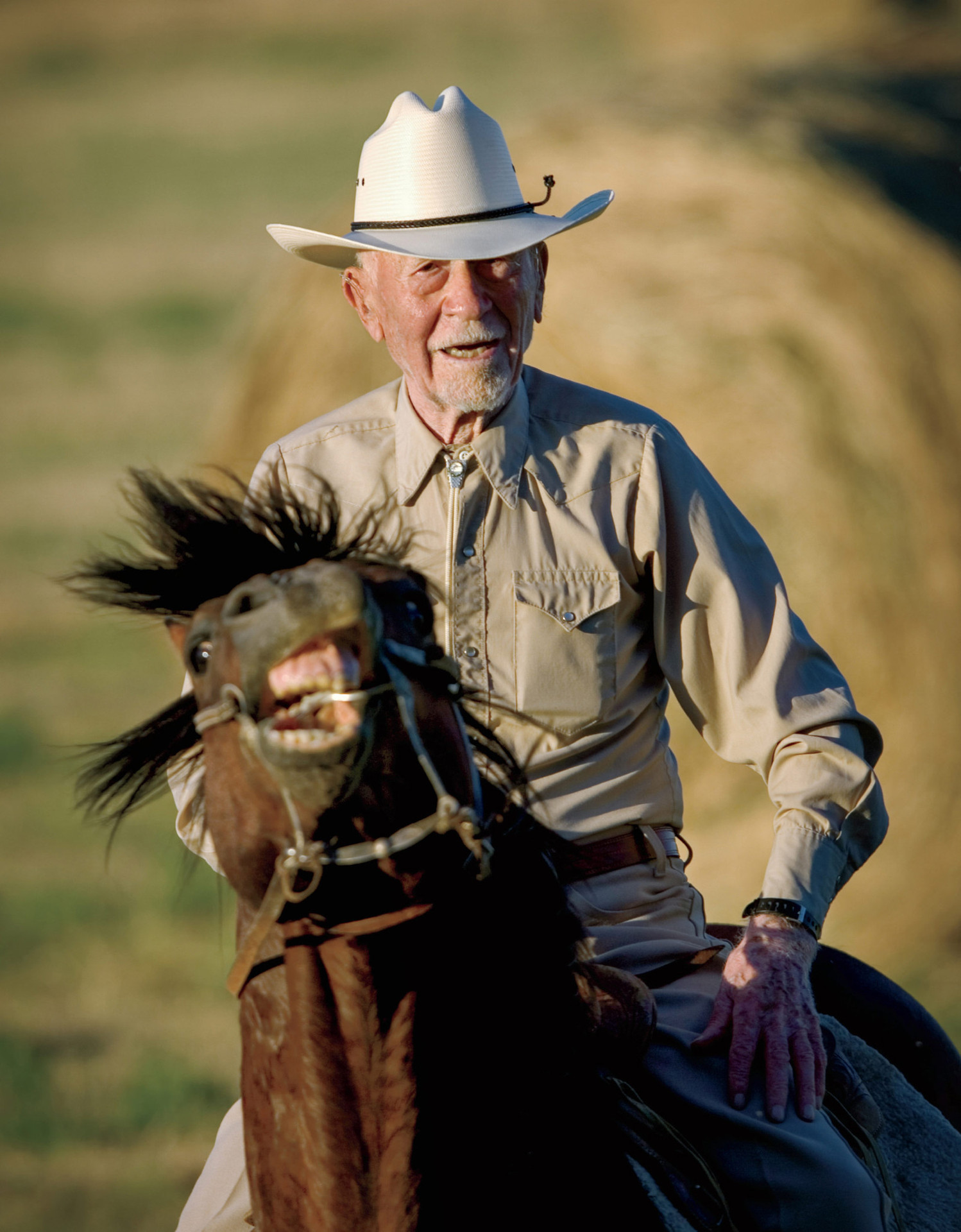 the blue zones secrets for living longer - Ảnh 7