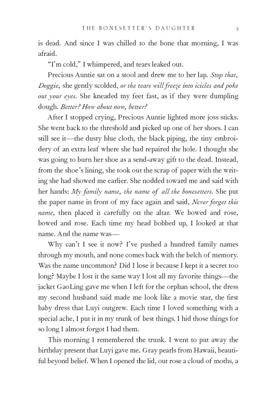 the bonesetter's daughter - Ảnh 14