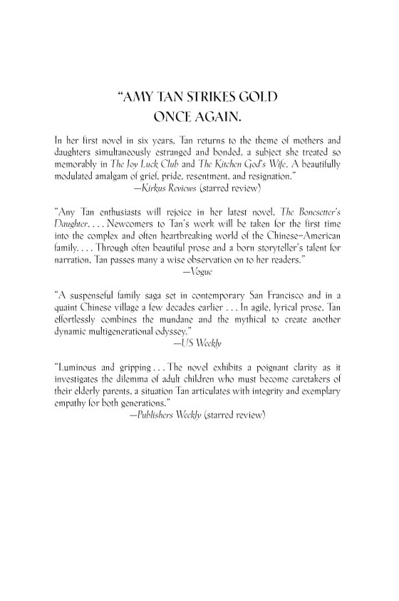 the bonesetter's daughter - Ảnh 4