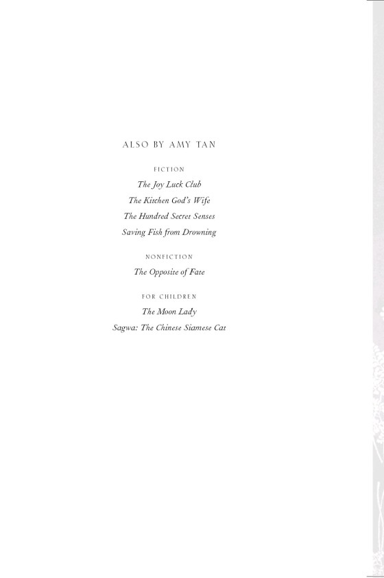 the bonesetter's daughter - Ảnh 5